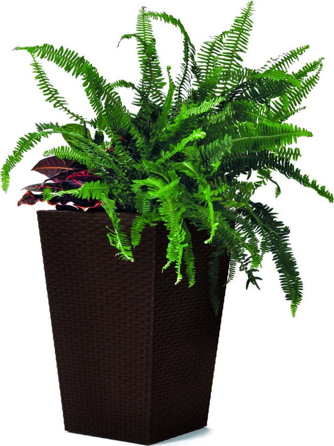 Plastový obal na květináč Rattan – Keter