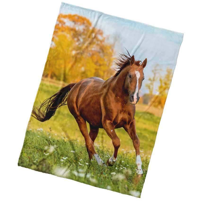 BedTex Deka mikroplyš Ryzák na louce