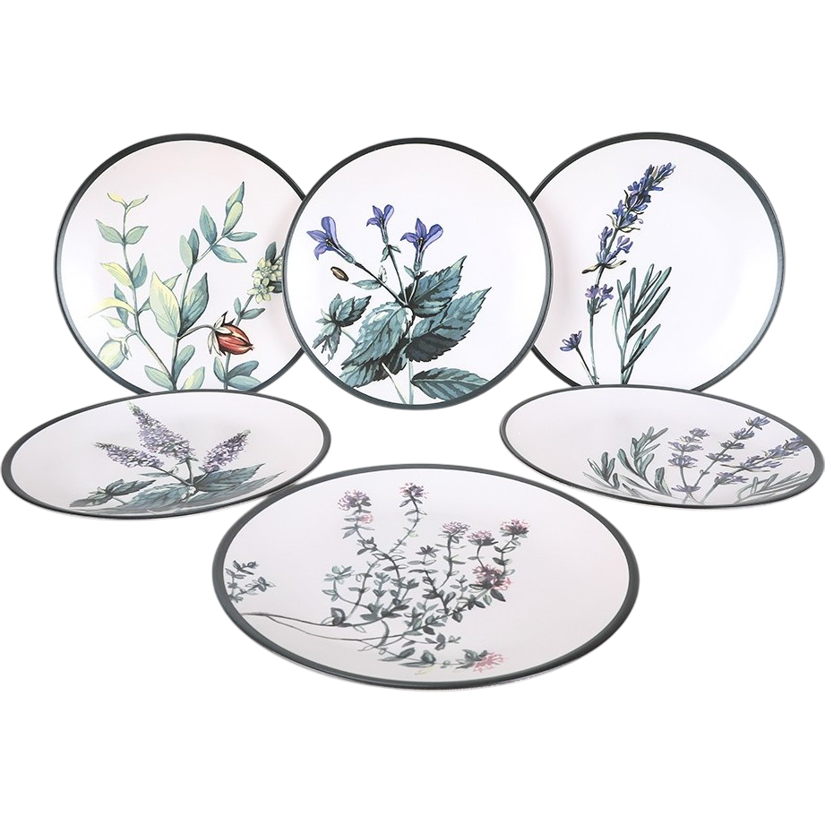 Sada 6 kameninových mělkých talířů Herbal 25 cm Hermia