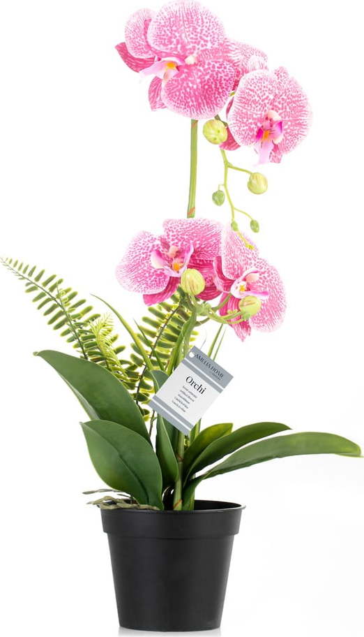 Umělá květina (výška 55 cm) Orchid – AmeliaHome