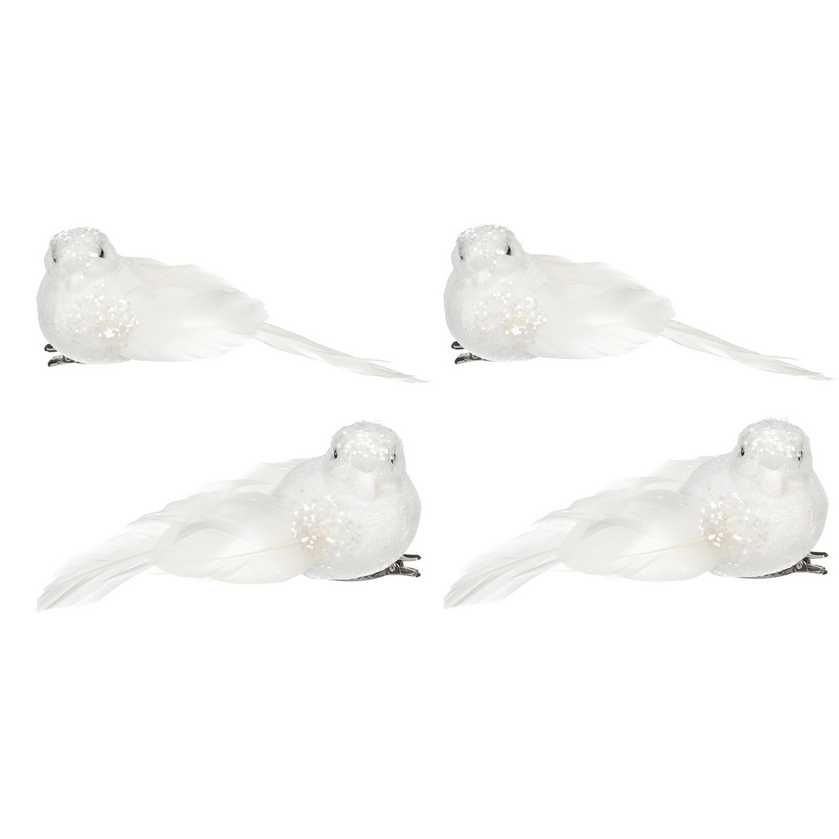 Sada ptáčků na klipu