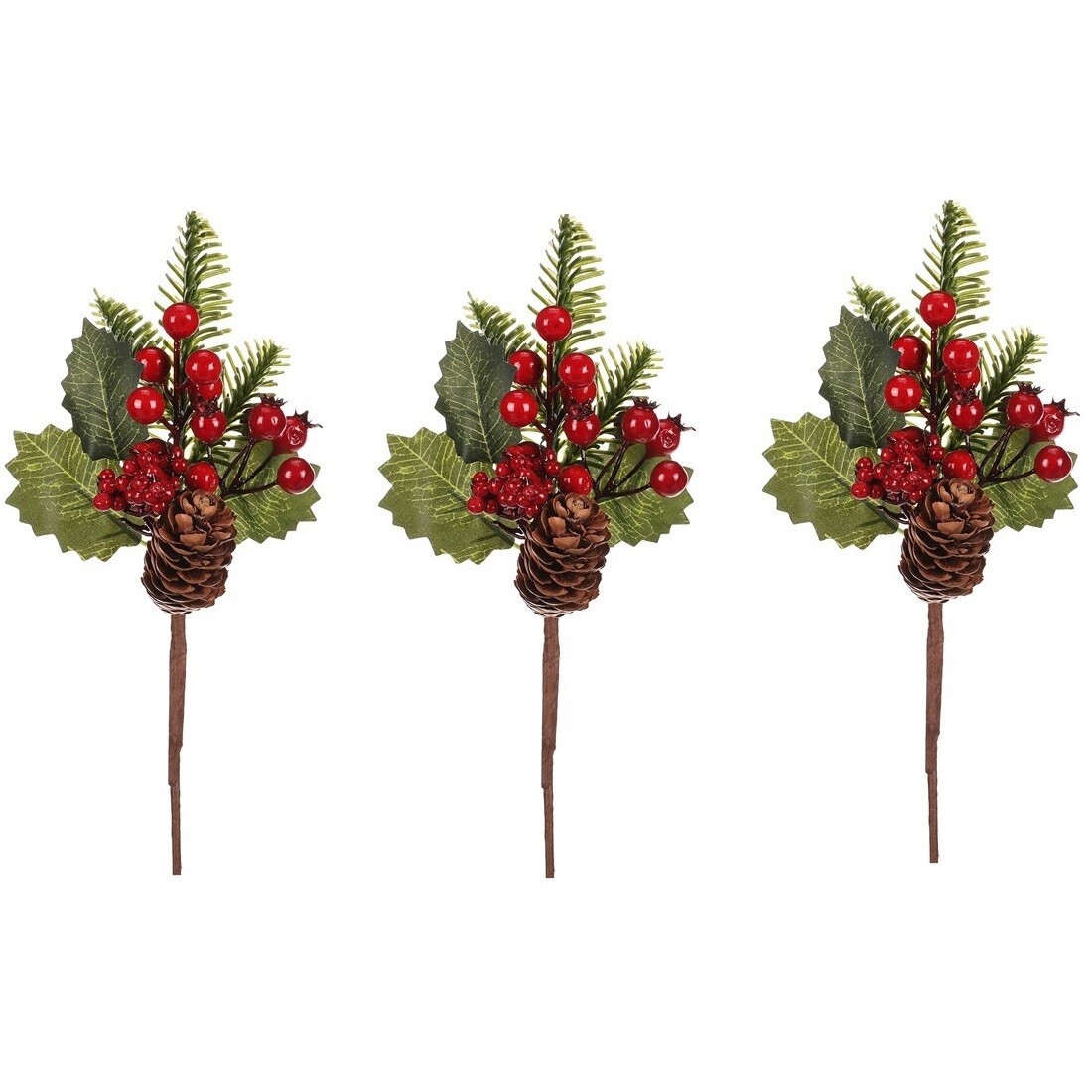 Sada větviček s šiškami a bobulemi