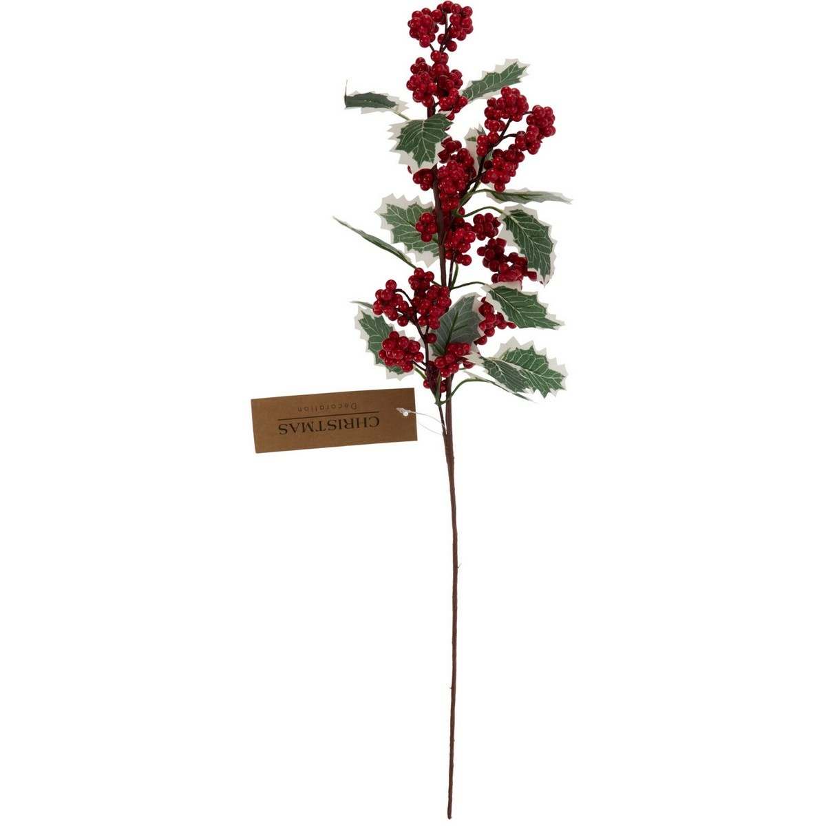 Zimní větvička Cesmína