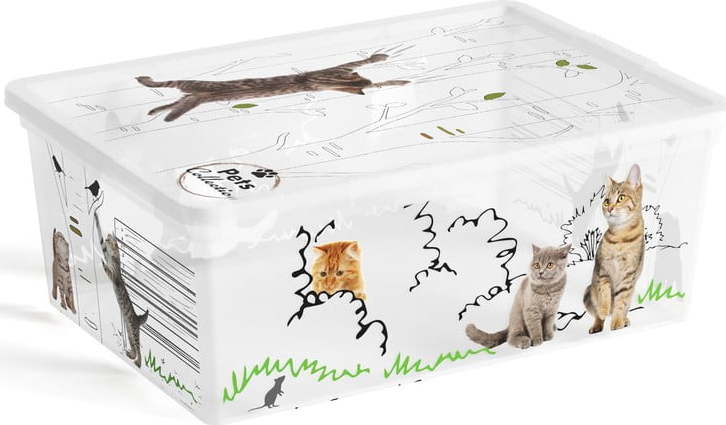 Bílý plastový úložný box s víkem 37x26x15 cm C Box Style – KIS