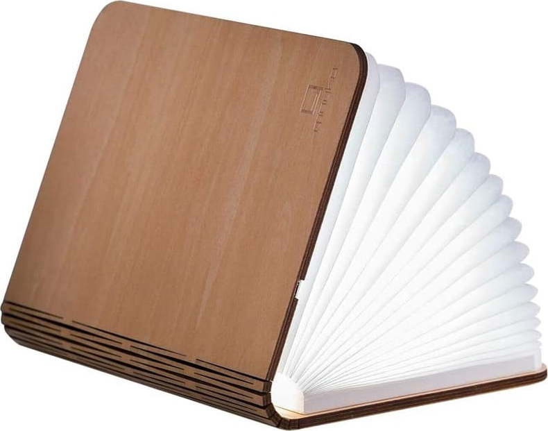 Světelná dekorace na USB v přírodní barvě Booklight – Gingko
