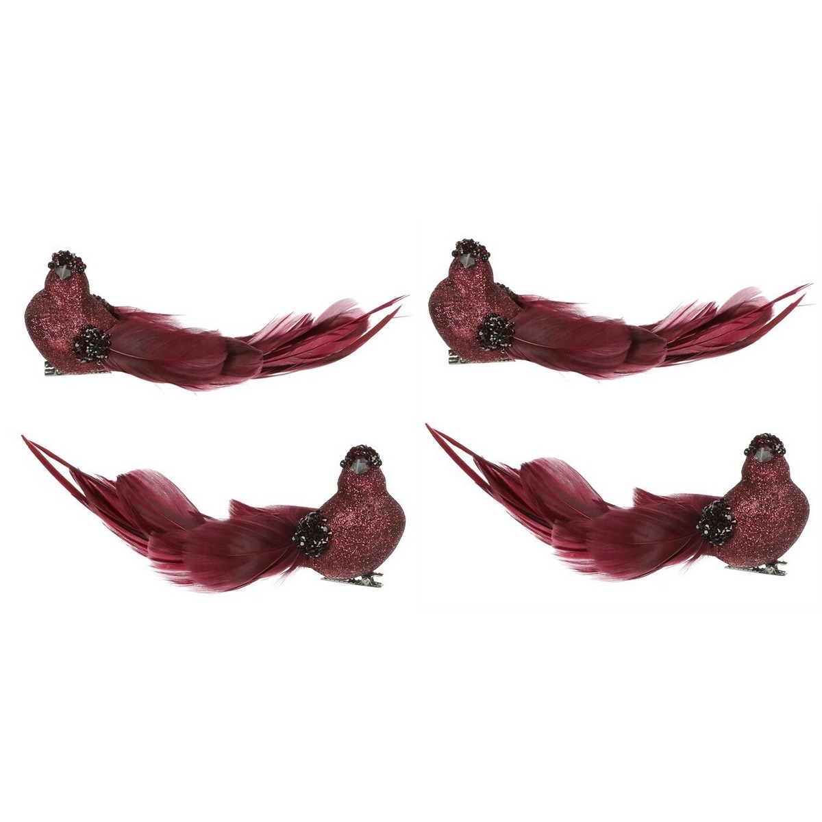 Sada ptáčků na klipu