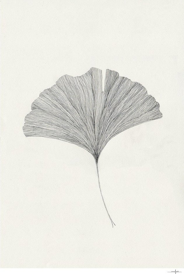 Plakát 50x70 cm Ginkgo Leaf – Ana Frois – The Poster Club