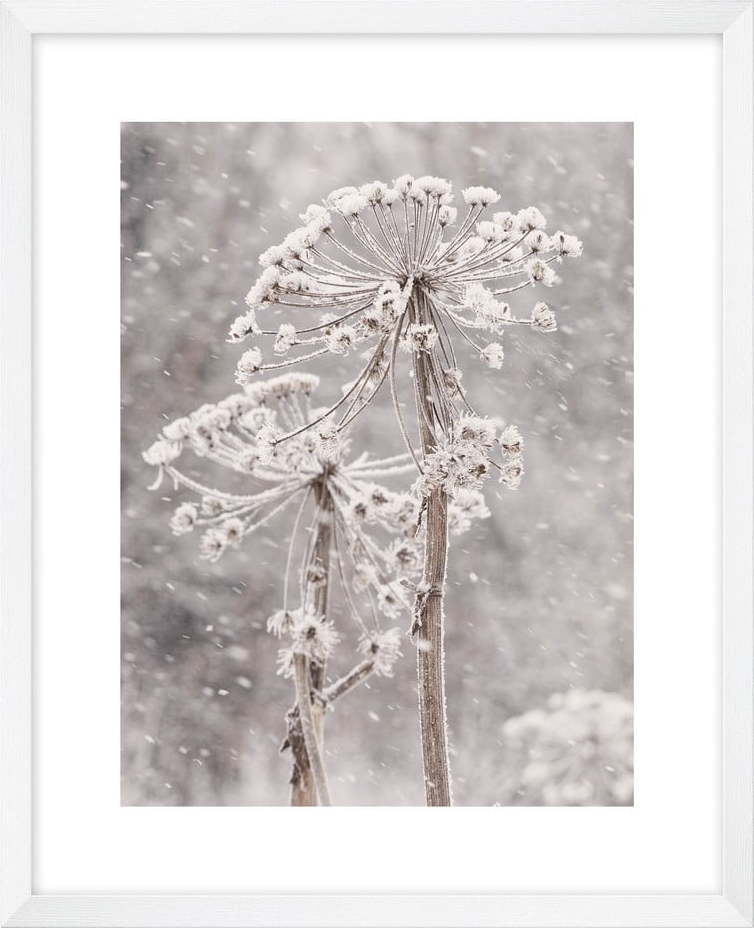 Obraz 40x50 cm Snow – knor