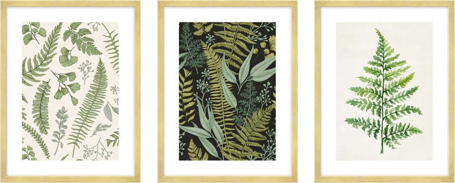 Obrazy v sadě 3 ks 30x40 cm Fern – knor