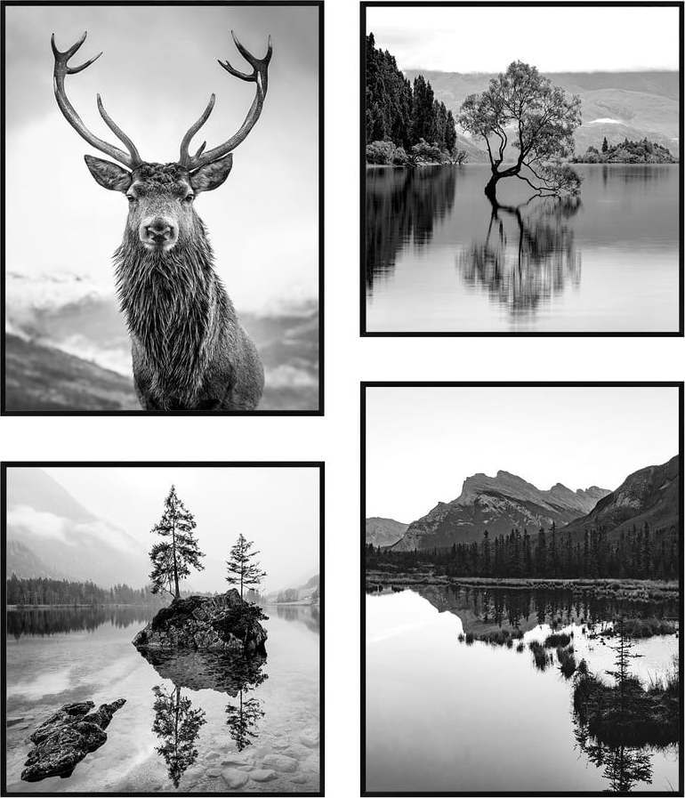 Obrazy v sadě 4 ks 30x40 cm Wild