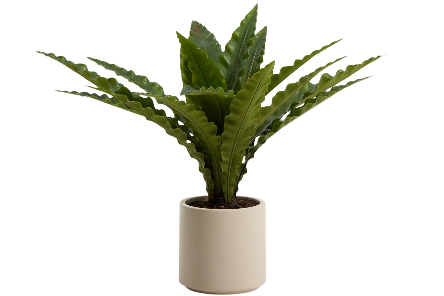 Kave Home Umělá květina Neottopteris 70 cm