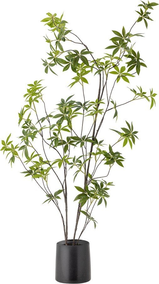 Umělá rostlina (výška 160 cm) Palmatum – Bloomingville