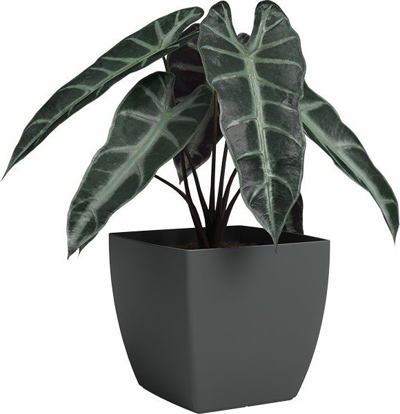 Květináč z recyklovaného plastu Siena – Artevasi