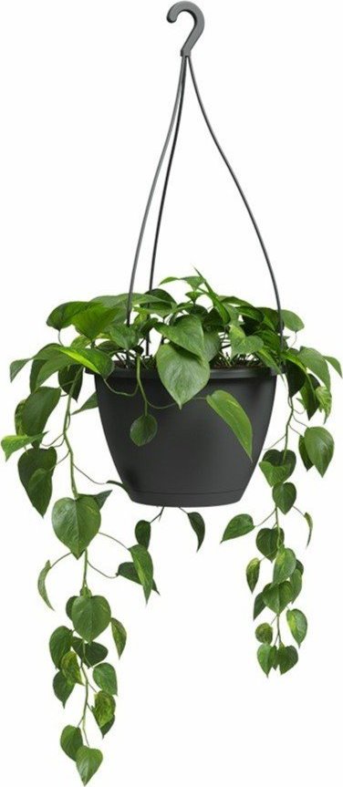 Plastový květináč ø 31 cm Algarve – Artevasi