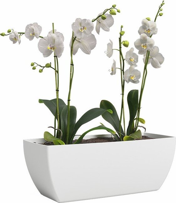 Truhlík z recyklovaného plastu 30 cm Siena – Artevasi