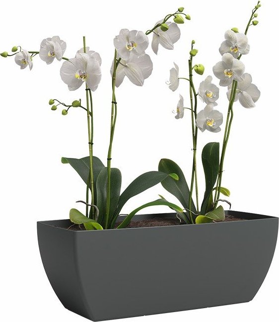 Truhlík z recyklovaného plastu 30 cm Siena – Artevasi