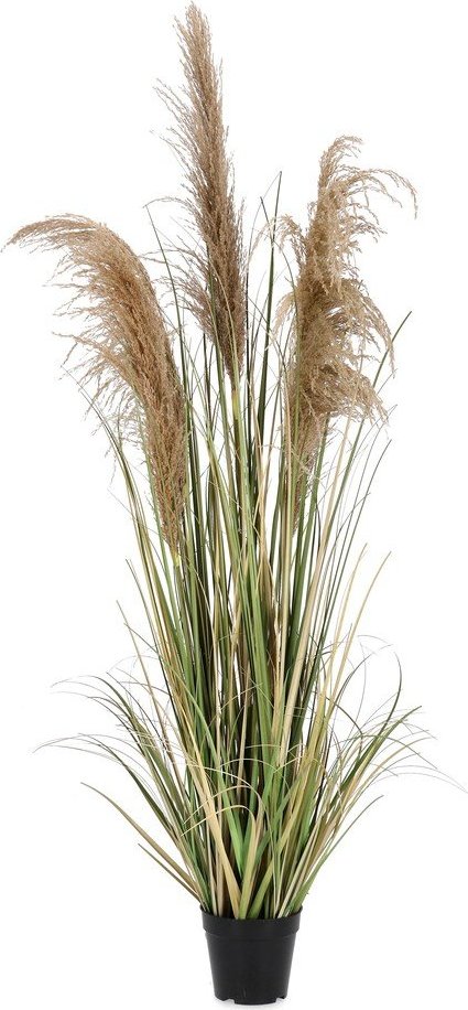 Umělá rostlina (výška 145 cm) Austorderia – Bizzotto