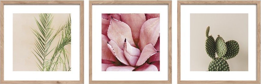 Tištěné obrazy v sadě 3 ks s rámem 30x30 cm Fresh – Styler