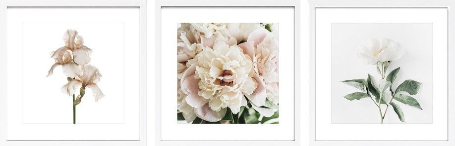 Tištěné obrazy v sadě 3 ks s rámem 30x30 cm Posy – Styler