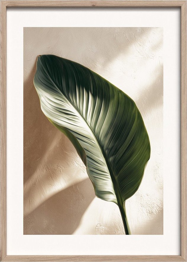 Tištěný obraz s rámem 50x70 cm Strelizia Leaf – Styler