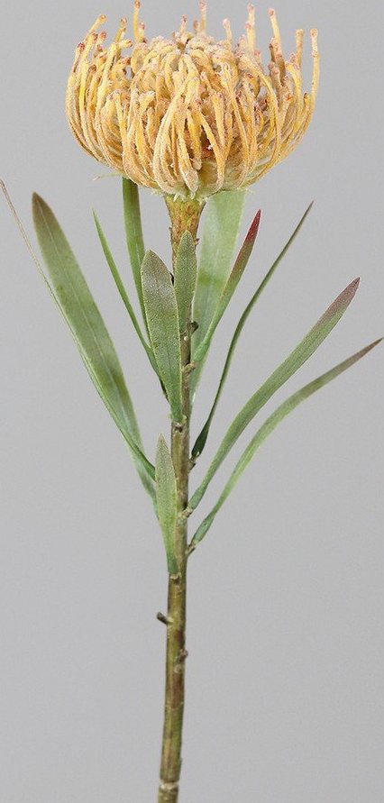 Umělá květina (výška 43 cm) Protea – Ego Dekor