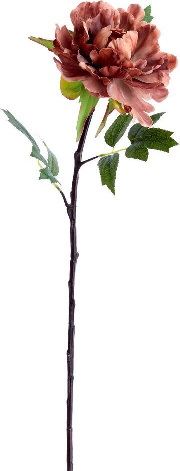 Umělá květina (výška 65 cm) Peonia – Light & Living