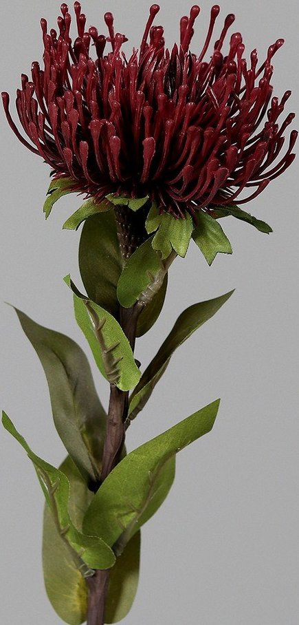 Umělá květina (výška 74 cm) Protea – Ego Dekor