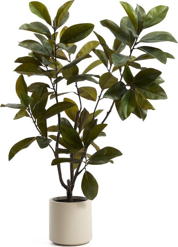 Umělá rostlina (výška 160 cm) Magnolia – Kave Home