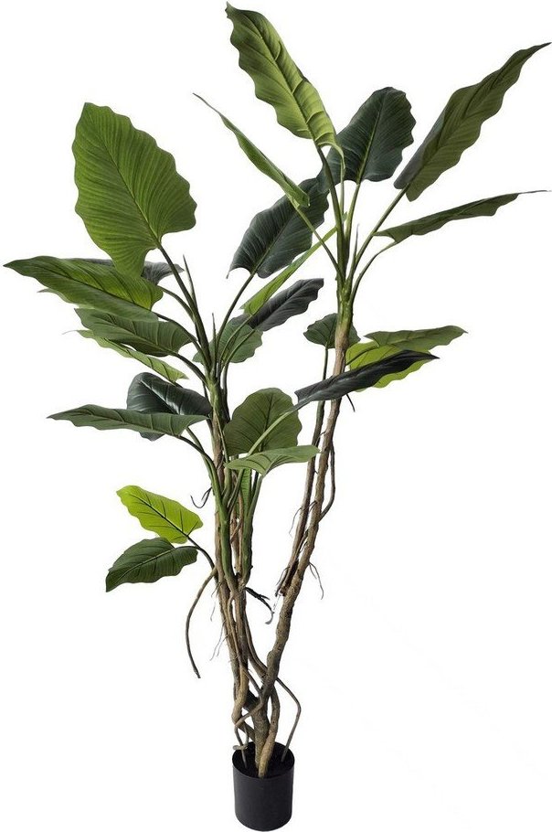 Umělá květina (výška 190 cm) Alocasia – Bizzotto